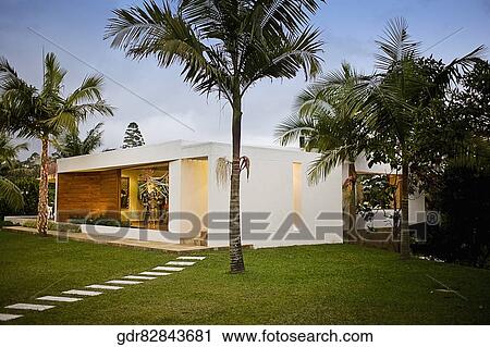 Palm trees around a house View Large Photo Image Stock Image - Palm trees around a house. Fotosearch