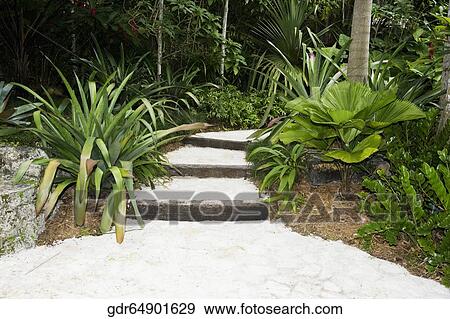 Path in a garden View Large Photo Image Stock Photo - Path in a garden. Fotosearch