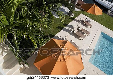 Patio umbrellas with lounge chairs at the poolside View Large Photo Image Stock Image - Patio umbrellas with lounge chairs at the poolside. Fotosearch