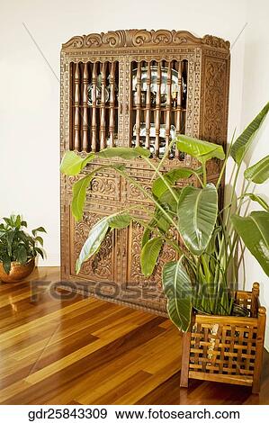 Plants in a living room View Large Photo Image Stock Photo - Plants in a living room. Fotosearch
