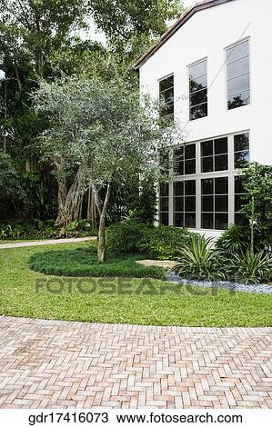 Plants in front of a house View Large Photo Image Stock Image - Plants in front of a house. Fotosearch