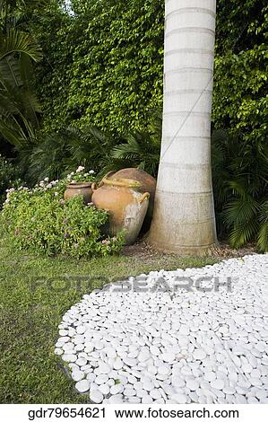 Pots near a tree trunk View Large Photo Image Stock Image - Pots near a tree trunk. Fotosearch