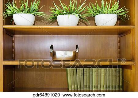 Potted plant on a shelf View Large Photo Image Stock Image - Potted plant on a shelf. Fotosearch