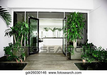 Potted plants near a door View Large Photo Image Stock Photograph - Potted plants near a door. Fotosearch