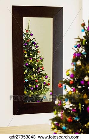 Reflection of a Christmas tree in a mirror View Large Photo Image Stock Image - Reflection of a Christmas tree in a mirror. Fotosearch