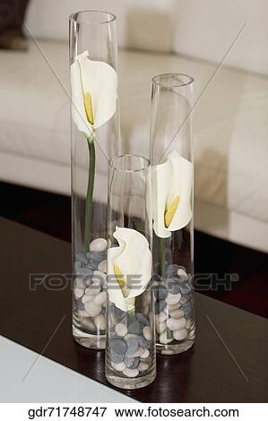 Three vases on a table View Large Photo Image Stock Photo - Three vases on a table. Fotosearch