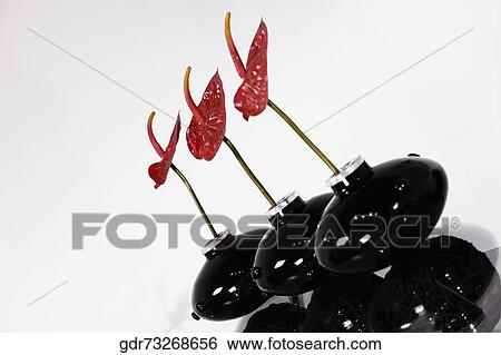 Three vases on a table View Large Photo Image Stock Photograph - Three vases on a table. Fotosearch