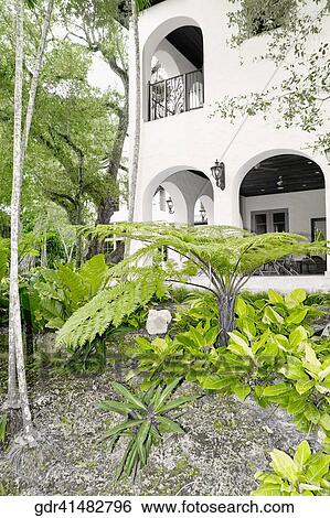 Trees and plants in the front yard of a house View Large Photo Image Stock Photograph - Trees and plants in the front yard of a house. Fotosearch
