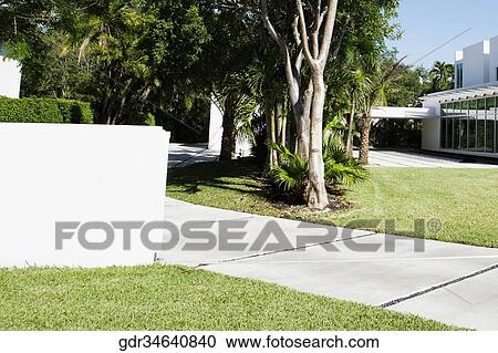 Trees in a lawn View Large Photo Image Stock Image - Trees in a lawn. Fotosearch