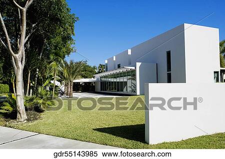 Trees in a lawn View Large Photo Image Stock Photography - Trees in a lawn. Fotosearch