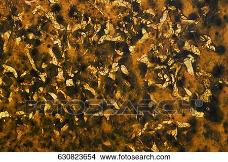Abstract pattern on a brown surface View Large Photo Image Picture - Abstract pattern on a brown surface. Fotosearch