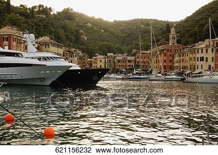 Boats moored at a harbor, Italian Riviera, Portofino, Genoa, Liguria, Italy View Large Photo Image Stock Image - Boats moored at a harbor, Italian Riviera, Portofino, Genoa, Liguria, Italy. Fotosearch