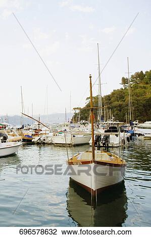 Boats moored at a harbor, Italian Riviera, Portofino, Genoa, Liguria, Italy View Large Photo Image Stock Image - Boats moored at a harbor, Italian Riviera, Portofino, Genoa, Liguria, Italy. Fotosearch