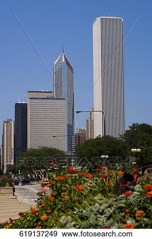 Buildings in a city, Congress Plaza, Chicago, Illinois, USA View Large Photo Image Stock Photo - Buildings in a city, Congress Plaza, Chicago, Illinois, USA. Fotosearch