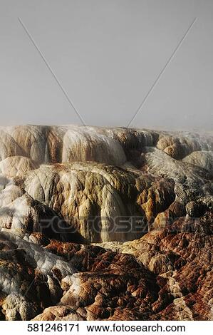 Calcium carbonate formation at a hot spring, Mammoth Hot Springs, Yellowstone National Park, Wyoming, USA View Large Photo Image Stock Image - Calcium carbonate formation at a hot spring, Mammoth Hot Springs, Yellowstone National Park, Wyoming, USA. Fotosearch