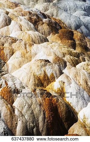 Calcium carbonate formation at a hot spring, Mammoth Hot Springs, Yellowstone National Park, Wyoming, USA View Large Photo Image Stock Image - Calcium carbonate formation at a hot spring, Mammoth Hot Springs, Yellowstone National Park, Wyoming, USA. Fotosearch
