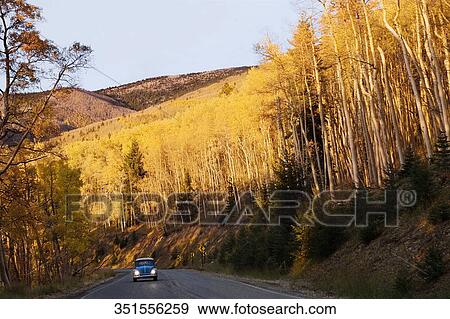 Stock Photo - Car passing though a forest. Fotosearch