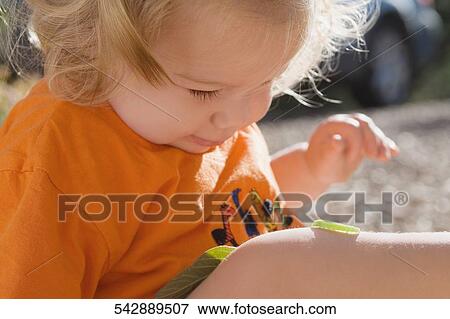 Stock Photo - Caterpillar crawling on a baby girl's leg. Fotosearch