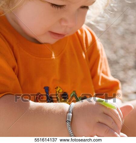 Caterpillar crawling on a baby girl's hand View Large Photo Image Stock Photo - Caterpillar crawling on a baby girl's hand. Fotosearch