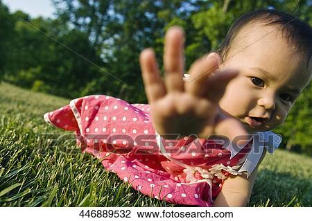 Close-up of a baby girl crawling on grass and lifting her palm View Large Photo Image Stock Image - Close-up of a baby girl crawling on grass and lifting her palm. Fotosearch