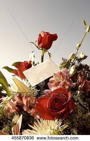 Close-up of a bouquet of flowers with an envelope View Large Photo Image Stock Photograph - Close-up of a bouquet of flowers with an envelope. Fotosearch