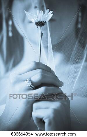 Close-up of a bride holding a flower View Large Photo Image Picture - Close-up of a bride holding a flower. Fotosearch
