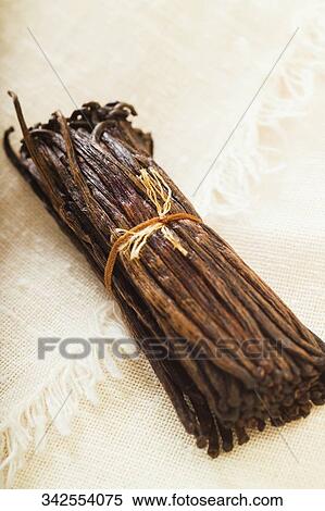 Close-up of a bundle of vanilla beans View Large Photo Image Stock Photography - Close-up of a bundle of vanilla beans. Fotosearch