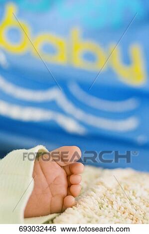 Close-up of a child feet View Large Photo Image Stock Photograph - Close-up of a child feet. Fotosearch