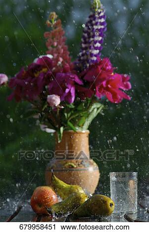 Close-up of a flower pot with fruits in rain View Large Photo Image Stock Image - Close-up of a flower pot with fruits in rain. Fotosearch
