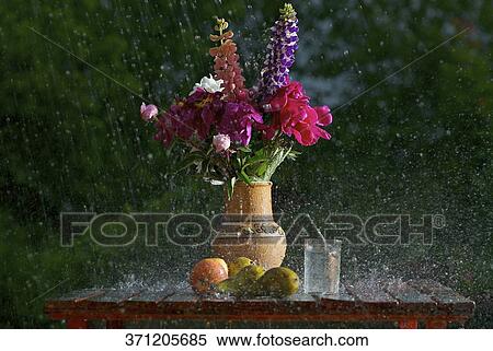 Close-up of a flower pot with fruits in rain View Large Photo Image Stock Photography - Close-up of a flower pot with fruits in rain. Fotosearch