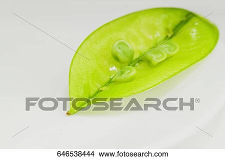 Close-up of a green pea View Large Photo Image Picture - Close-up of a green pea. Fotosearch
