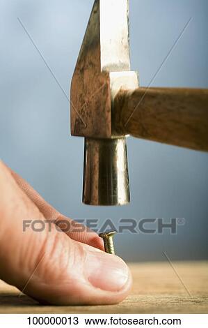 Close-up of a hammer hitting a nail View Large Photo Image Stock Image - Close-up of a hammer hitting a nail. Fotosearch