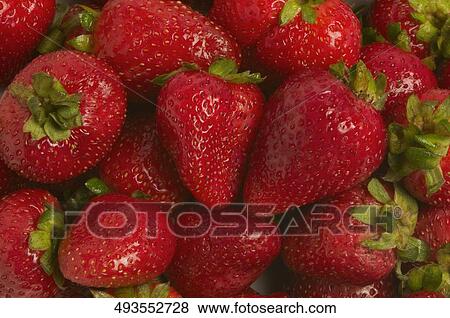 Close-up of a heap of strawberries View Large Photo Image Stock Photo - Close-up of a heap of strawberries. Fotosearch