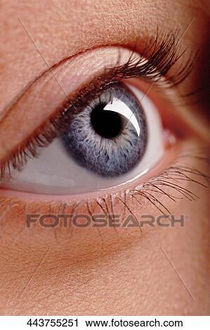 Stock Image - Close-up of a human eye. Fotosearch