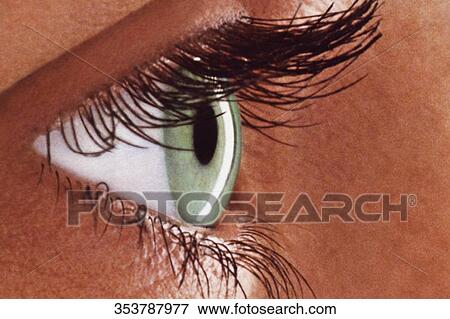 Close-up of a human eye View Large Photo Image Stock Photo - Close-up of a human eye. Fotosearch