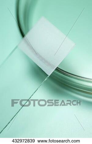 Close-up of a microscope slide and a petri dish View Large Photo Image Stock Photo - Close-up of a microscope slide and a petri dish. Fotosearch