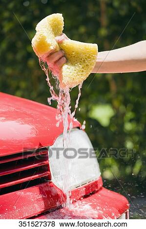 Stock Photo - Close-up of a person's hand squeezing a bath sponge. Fotosearch