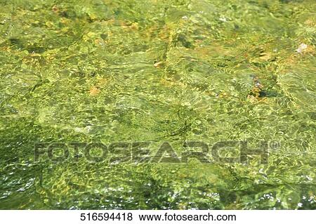Close-up of a rippled water surface View Large Photo Image Stock Photo - Close-up of a rippled water surface. Fotosearch