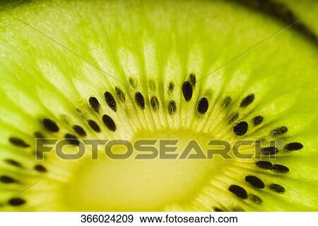 Stock Photo - Close-up of a slice of kiwi. Fotosearch