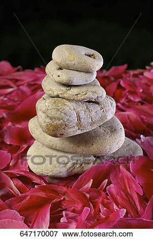 Stock Photo - Close-up of a stack of pebbles with flower petals. Fotosearch