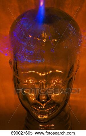 Close-up of a statue, New York State, USA View Large Photo Image Stock Photography - Close-up of a statue, New York State, USA. Fotosearch