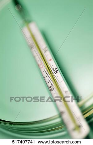 Close-up of a thermometer in a petri dish View Large Photo Image Stock Image - Close-up of a thermometer in a petri dish. Fotosearch