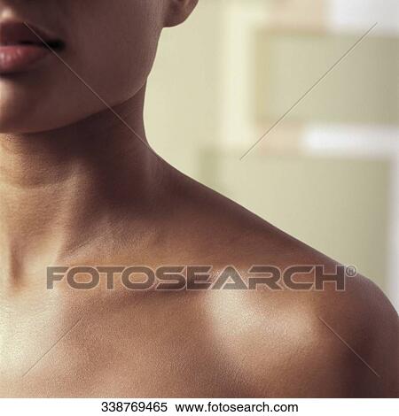 Close-up of a woman's shoulder View Large Photo Image Stock Photography - Close-up of a woman's shoulder. Fotosearch
