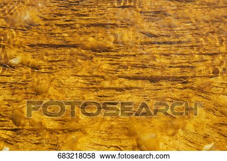 Close-up of an abstract pattern View Large Photo Image Stock Photo - Close-up of an abstract pattern. Fotosearch