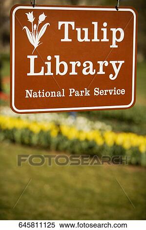 Close-up of an information board, Tulip Library, Washington DC, USA View Large Photo Image Stock Photography - Close-up of an information board, Tulip Library, Washington DC, USA. Fotosearch