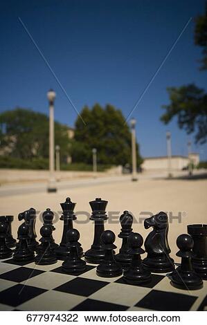 Close-up of chess pieces on a chess board, Chicago, Illinois, USA View Large Photo Image Stock Image - Close-up of chess pieces on a chess board, Chicago, Illinois, USA. Fotosearch