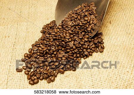 Close-up of coffee beans with a scoop View Large Photo Image Stock Photo - Close-up of coffee beans with a scoop. Fotosearch