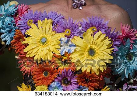 Close-up of flowers, Washington DC, USA View Large Photo Image Picture - Close-up of flowers, Washington DC, USA. Fotosearch