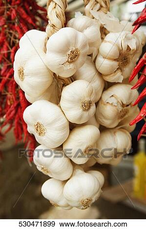 Close-up of garlic hanging at a market stall, Sorrento, Sorrentine Peninsula, Naples Province, Campania, Italy View Large Photo Image Stock Photo - Close-up of garlic hanging at a market stall, Sorrento, Sorrentine Peninsula, Naples Province, Campania, Italy. Fotosearch