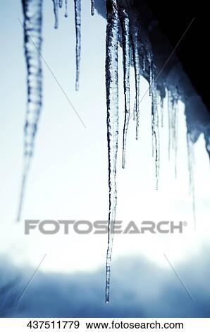 Close-up of icicles, West Yellowstone, Gallatin County, Montana, USA View Large Photo Image Stock Photo - Close-up of icicles, West Yellowstone, Gallatin County, Montana, USA. Fotosearch